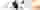 Banner - 1colum